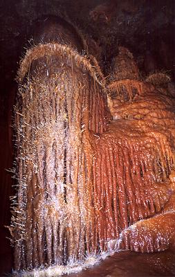Helictite detail on large column[PSwart]
